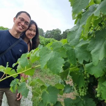 Asaian_couple_in_vineyard_2024_lg